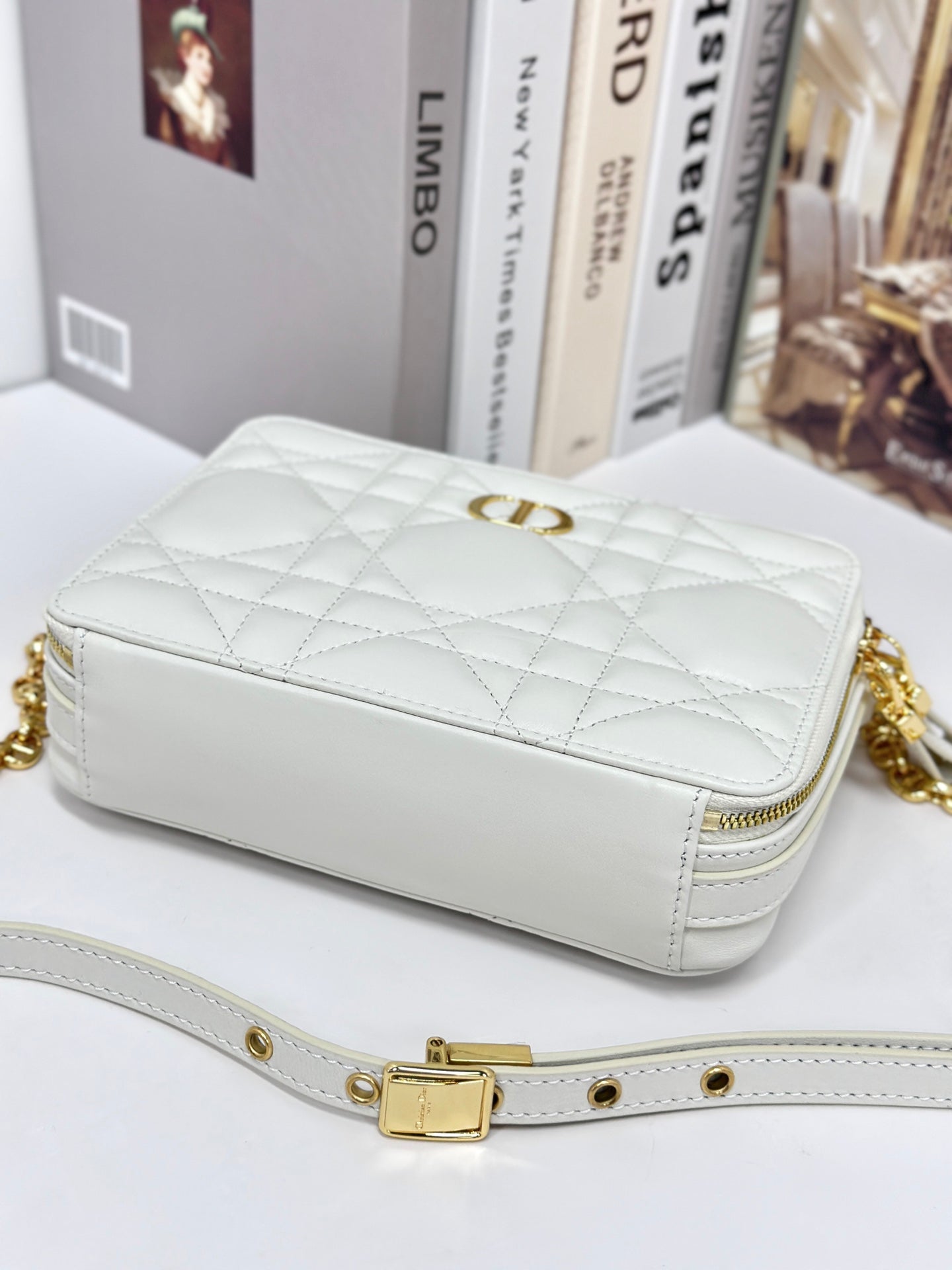 CARO BOX 19 IN WHITE CALFSKIN