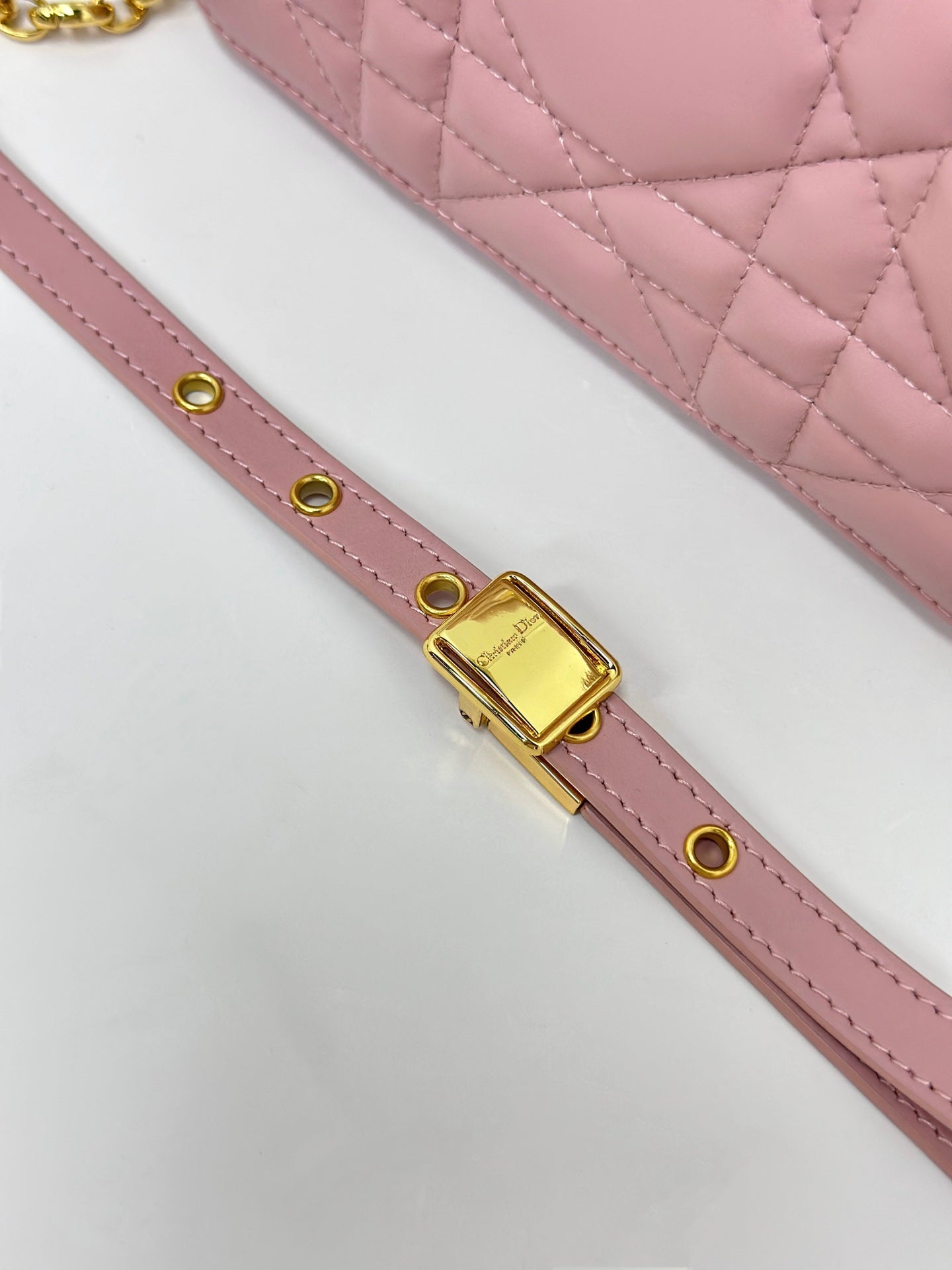 CARO BOX 19 IN LIGHT PINK CALFSKIN