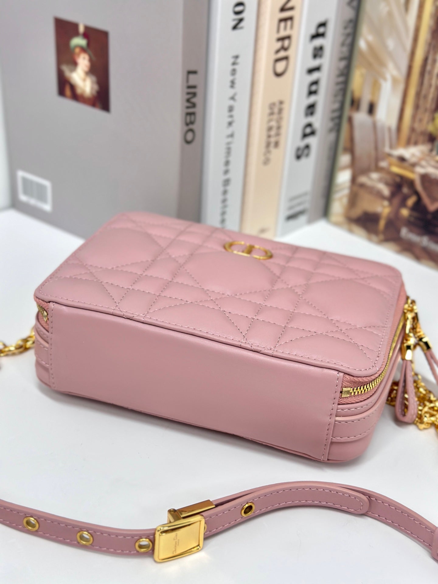 CARO BOX 19 IN LIGHT PINK CALFSKIN