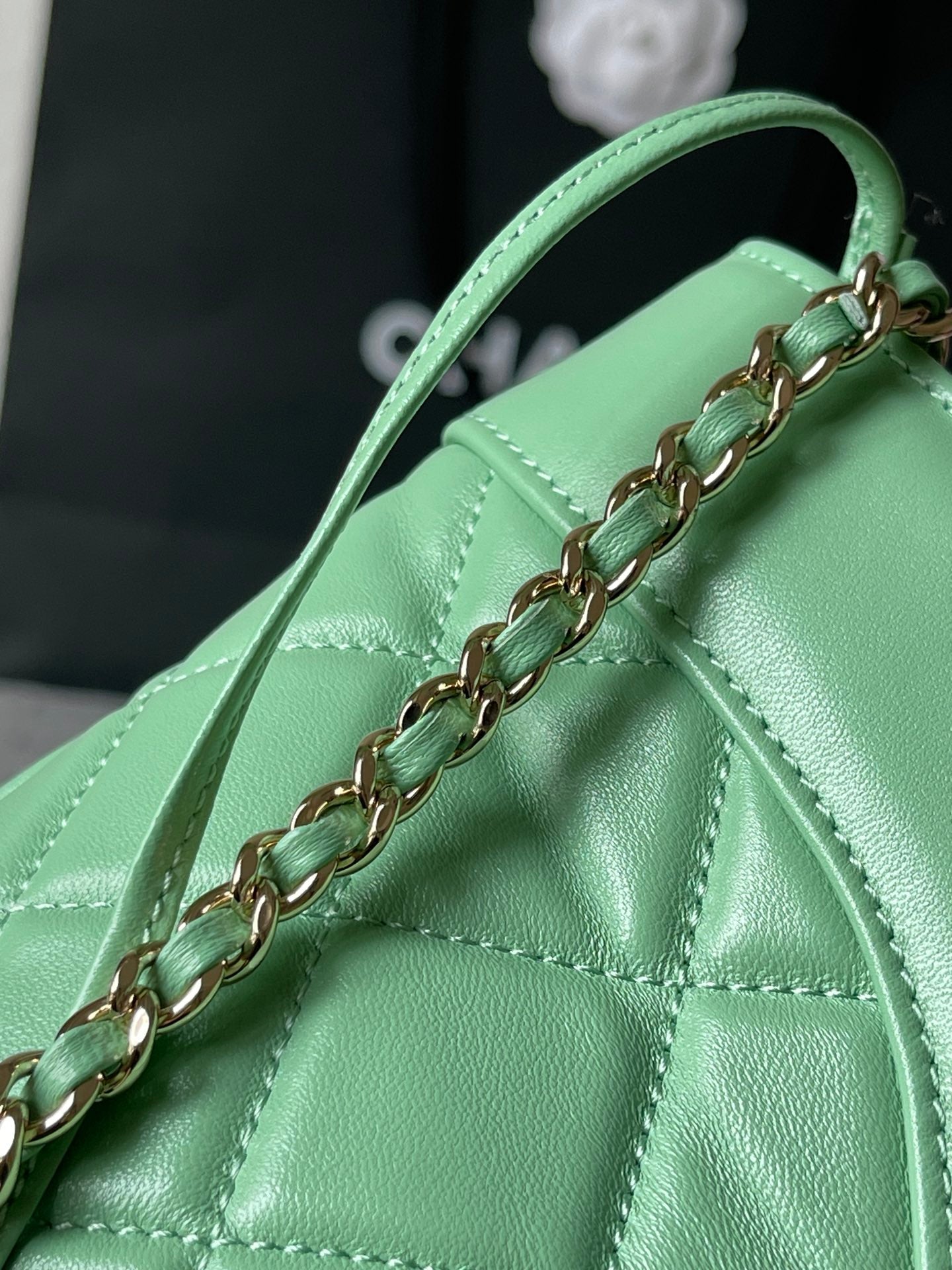 CC MEDIUM 36 SHOPPING BAG IN GREEN MINT CALFSKIN